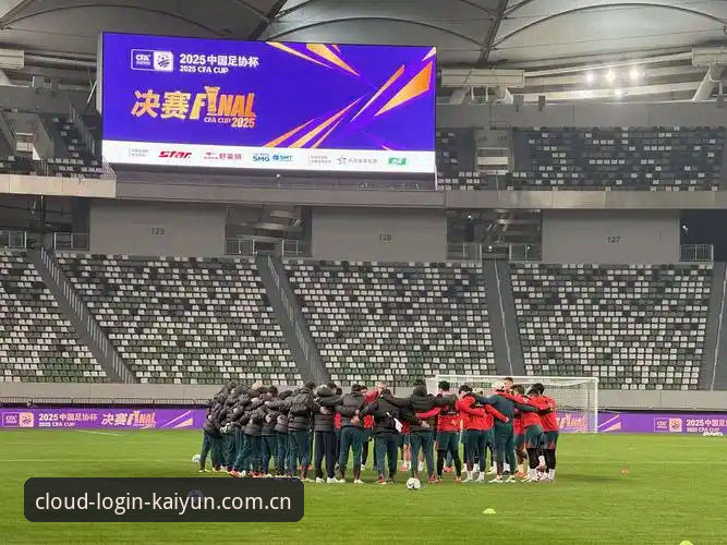 足协第三批禁足名单vs球迷观赛体验：一场关于纯洁与信任的深度审视